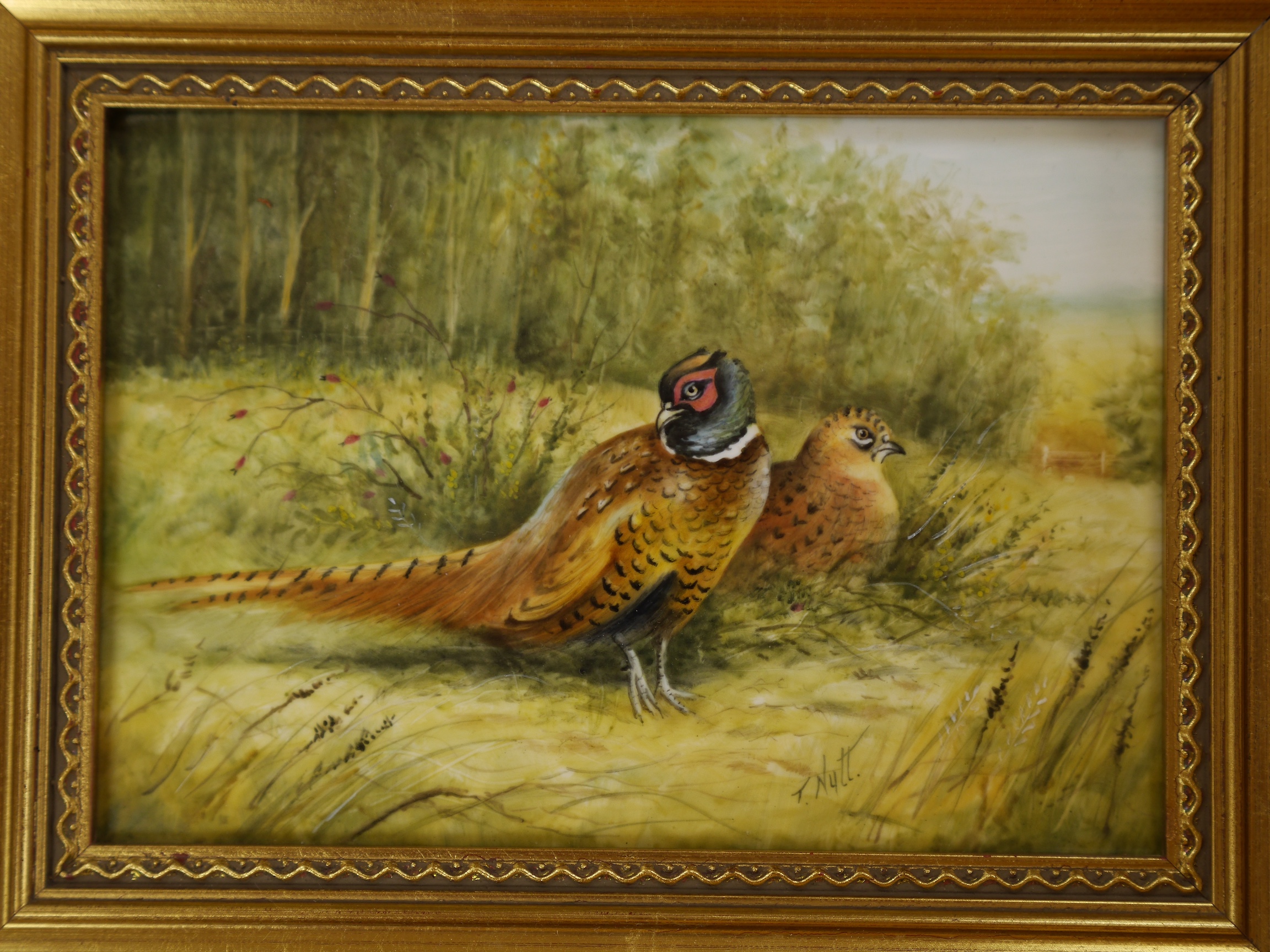 A Royal Worcester framed porcelain plaque decorated with game birds, signed T. Nutt (Terry Nutt), 12 x 17cm. Condition - good